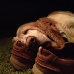 20120302-213600.jpg